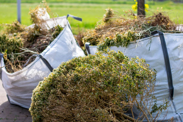 Best Shed Removal  in Goodrich, MI